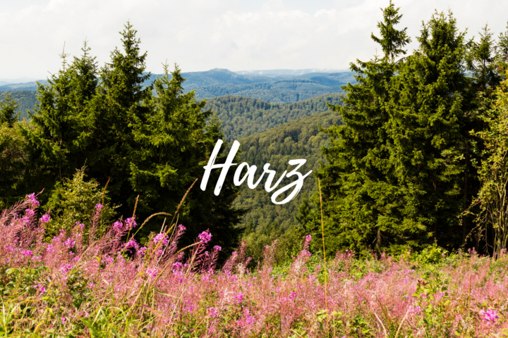 Urlaub im Harz