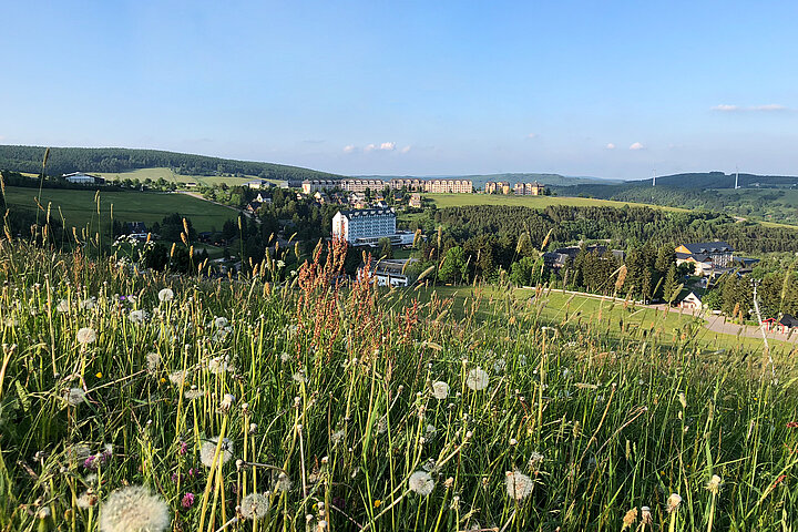 Oberwiesenthal 