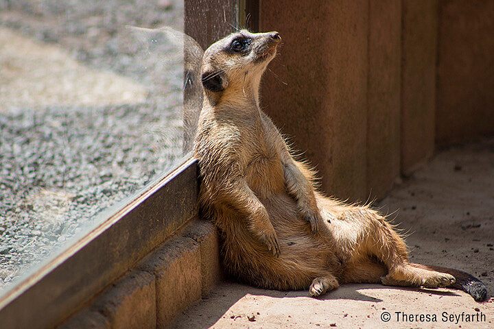 Tierpark Gotha