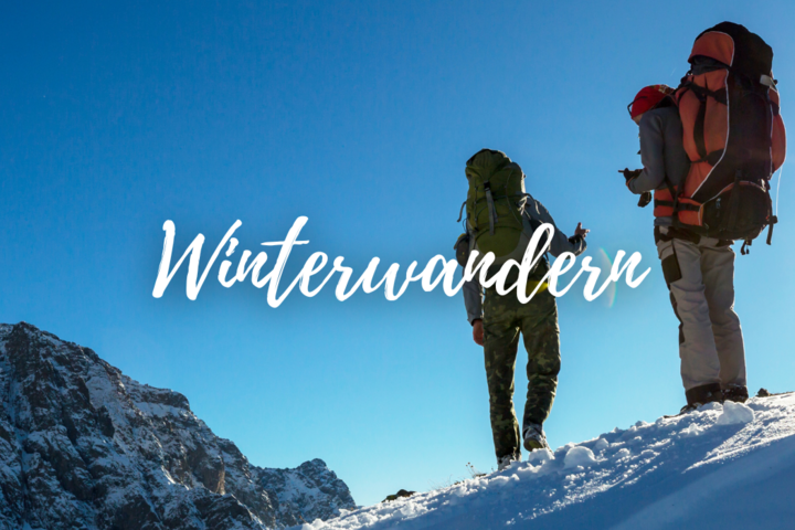 best-western-ahorn-hotel-oberwiesenthal-freizeit-aktiv-winterwandern