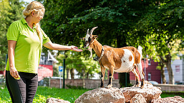 AHORN Panorama Hotel Oberhof seasonal petting zoo