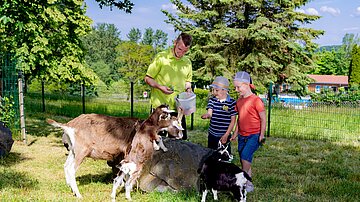 AHORN Berghotel Friedrichroda seasonal petting zoo