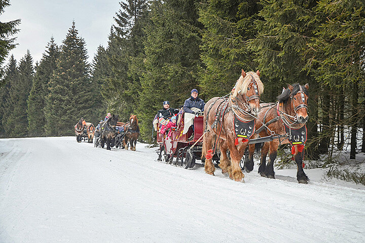 Schlittenfahrt im Thüringer Wald 