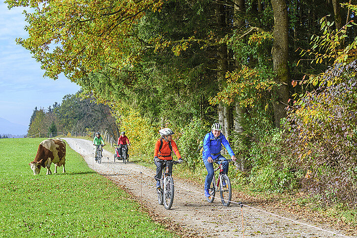 Fahrrad fahren Uckermark Herbst