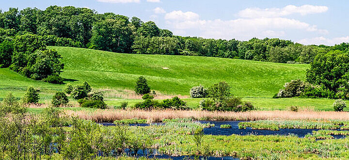 Schorfheide landscape