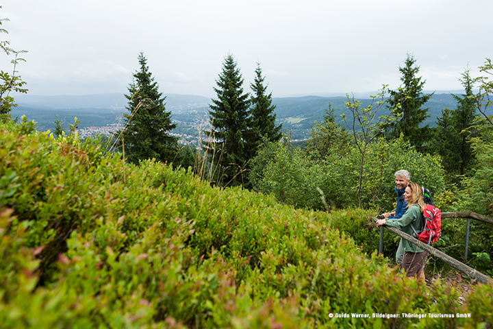 Rundweg Tanzbuche