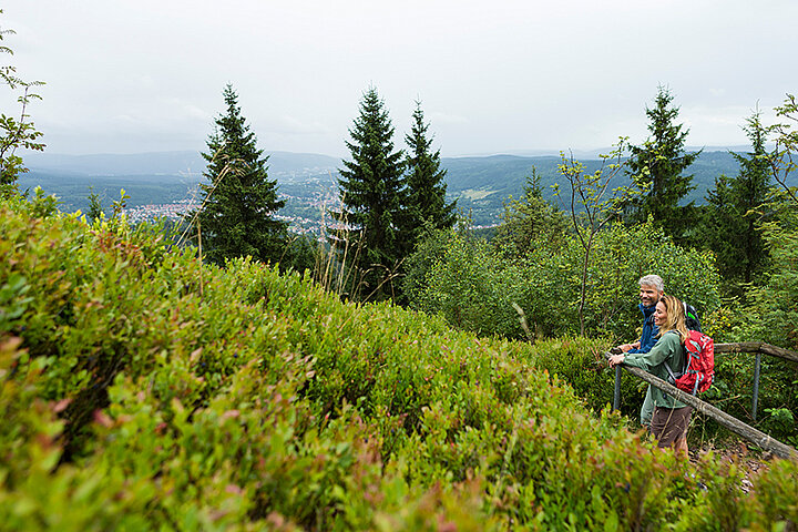 Wanderurlaub Thüringer Wald