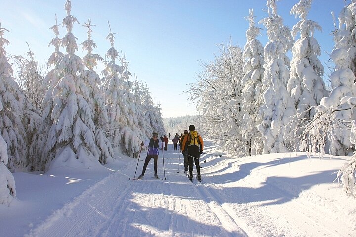 Skilanglauf am Rennsteig 