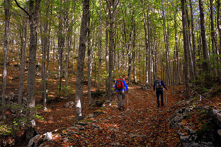 Nordic Walking Route Oberhof