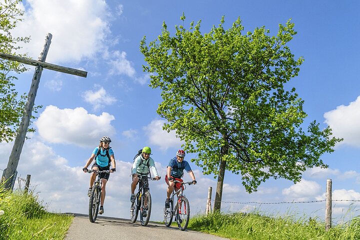 Drei Mountainbiker in Oberwiesenthal