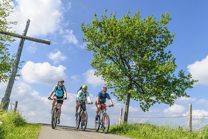 Radfahren Oberwiesenthal Drei Mountainbiker in Oberwiesenthal