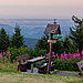 Ausblick auf Oberhof im Thüringer Wald