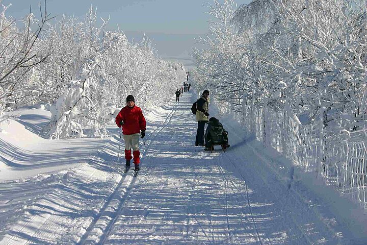 Skilanglauf Altenberg