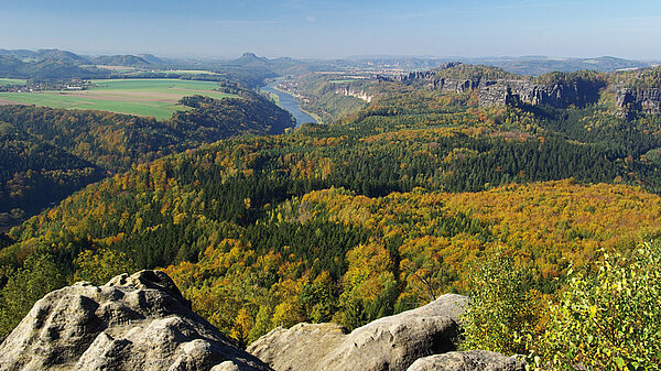 ahorn-waldhotel-altenberg-elberadweg-sachsen-saechsische-schweiz