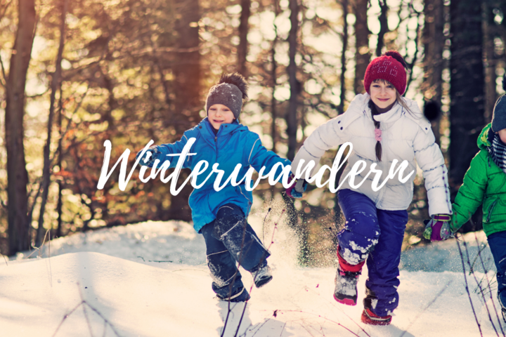 ahorn-waldhotel-altenberg-freizeit-aktiv-winterwandern