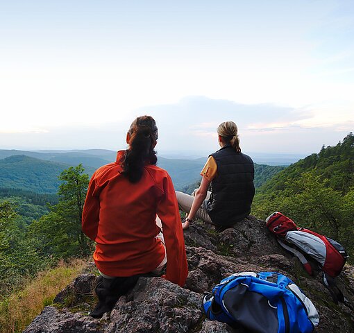 Wandern im Thüringer Wald