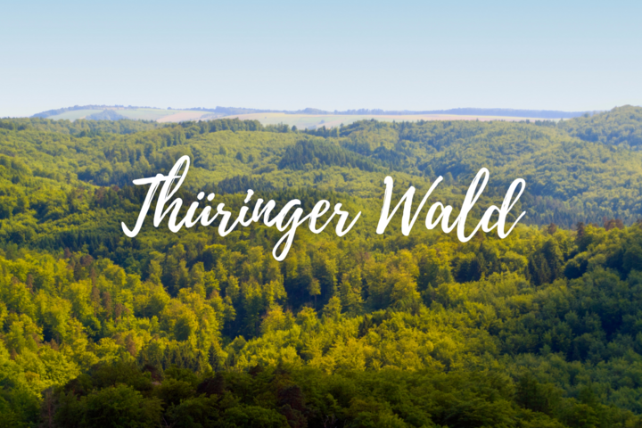 Thüringer Wald 