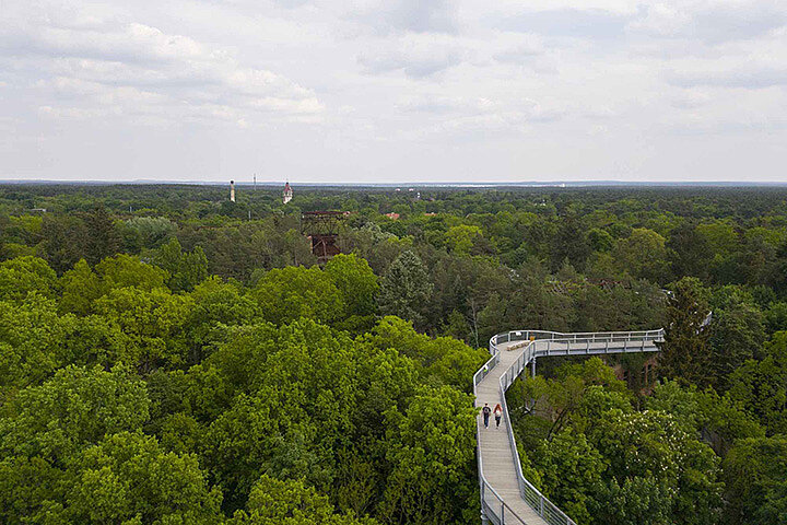 Beelitz Heilstätten Baumkronenpfad Baum & Zeit