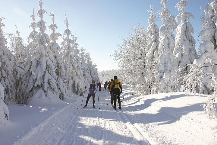 Skilanglauf in Oberhof